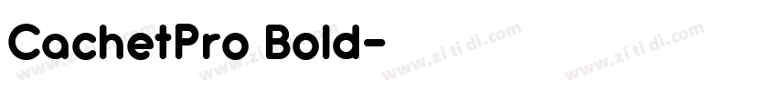 CachetPro Bold字体转换